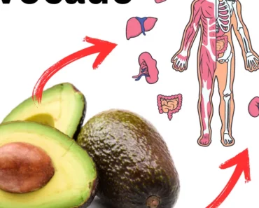 7 Reasons Why You Should Eat An Entire Avocado Every Day