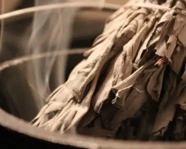 The Science of Smudging: This Is What Sage Does to Bacteria in the Air