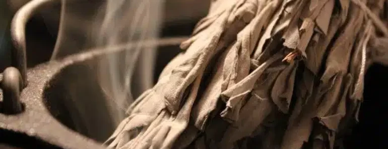 The Science of Smudging: This Is What Sage Does to Bacteria in the Air