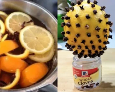 The Healing Power of Clove and Lemon: A Natural Duo for Health and a Happier Home