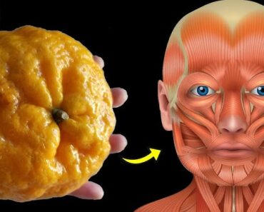 This Is What Happens To Your Body When You Consume Oranges Everyday