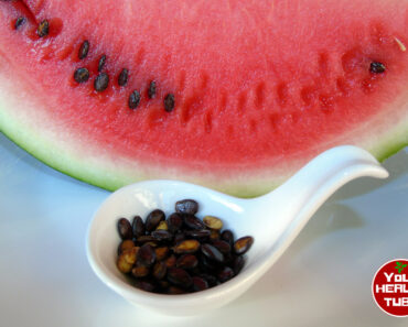 This Is What Happens To Your Body When You Eat Watermelon Seeds