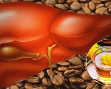 This is What Happens To Your Liver When You Drink Two Cups of Coffee Every Day