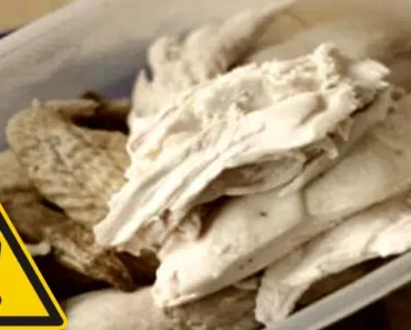 5 Foods You Should Never Reheat (Risk Of Potentially Deadly Consequences)