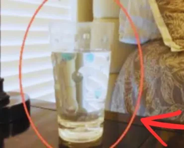 You Won’t Believe What Happens in a Day After You Place a Glass of Water, Salt, and Vinegar in Your Room