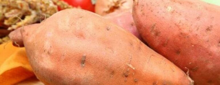 Here are Reasons why you should Eat Sweet Potatoes