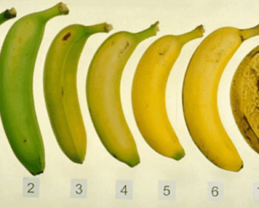After Reading This, You’ll Never Look Them Bananas The Same Way Again!