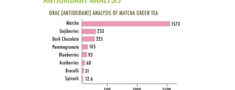 Top 10 Vegetables Rich in Antioxidants: The Essential Guide