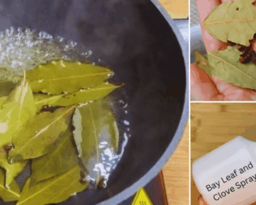 A Breath of Fresh Air: Natural Ways to Keep Pests at Bay (RECIPE)