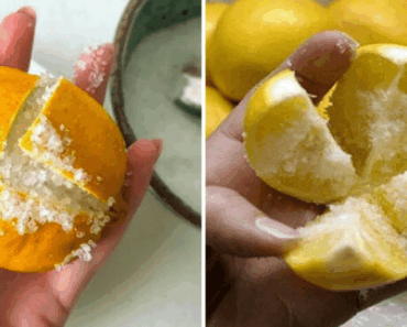Cut a Lemon in 4, Add Salt and Place it in Your Room: The Lemon and Salt Trick You’ll Love