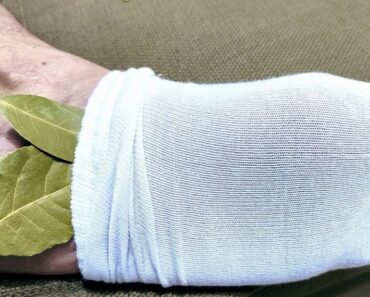 Bay Leaf in Your Socks? Here’s Why You Should Try This Surprising Hack