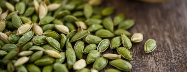 Why You Should Be Snacking on Pumpkin Seeds All Fall Long