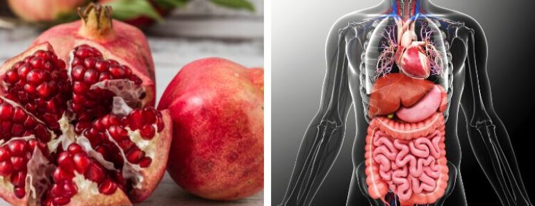 10 Reasons Pomegranates Are One of the Healthiest Fruits on Earth—Backed by Science