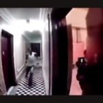 Bronx Woman Slams Apartment Door on Man With 37 Prior Arrests After Being Followed Into Building at 2 A.M.