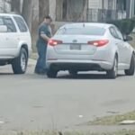 Detroit Suspect Crawls Under Car Multiple Times on Lauder Street Before Cutting Catalytic Converter Despite Owner Confrontation