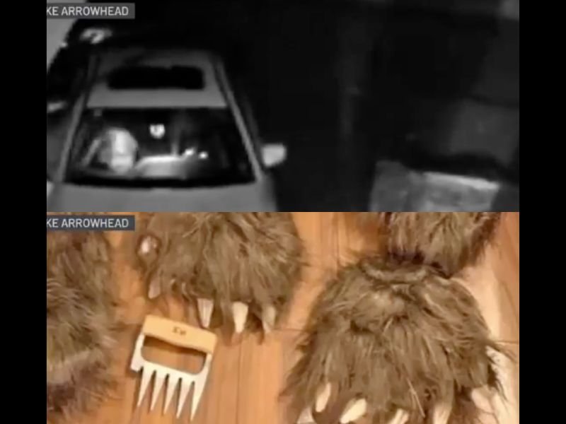 Four Arrested After Allegedly Staging Fake Bear Attacks on Luxury Cars in Lake Arrowhead California to Collect Over $141,000 in Insurance Claims