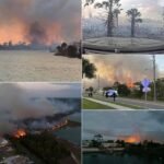 Hernando Beach Florida Brush Fire Rapidly Spreads Toward Shoal Line Blvd Prompting Mandatory Evacuations as Flames Reach 150 Acres With 20 Percent Containment