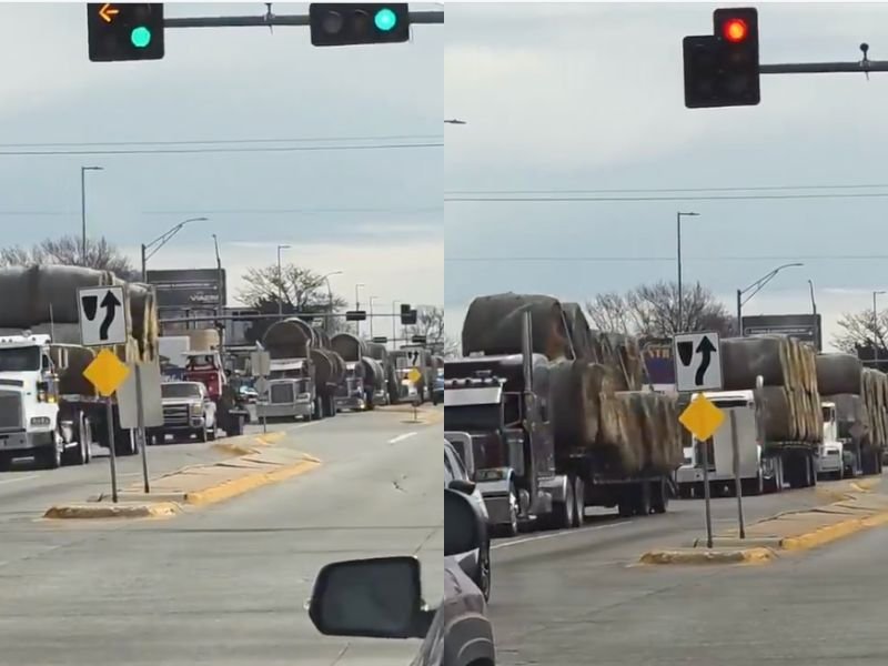 Nebraska Wildfires Burn Over 800,000 Acres as Farmers Across the U.S. Send Hay Convoys to Support Devastated Ranches