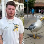 New Jersey Man Sentenced to 8 Months in Jail After Killing Seagull at Morey&rsquo;s Piers Boardwalk in North Wildwood During Incident Involving His Daughter
