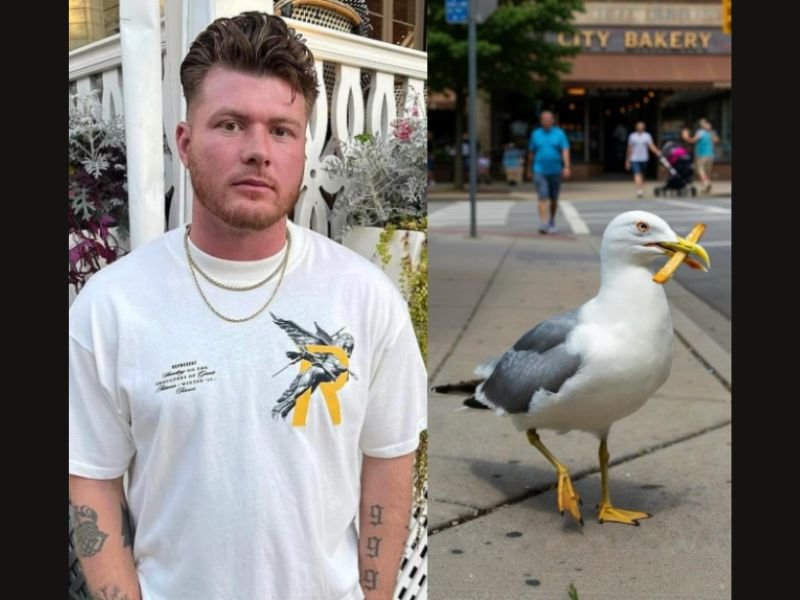 New Jersey Man Sentenced to 8 Months in Jail After Killing Seagull at Morey&rsquo;s Piers Boardwalk in North Wildwood During Incident Involving His Daughter