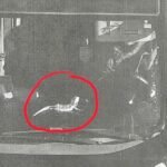 Newport Bridge Toll Cameras Mistakenly Charge Rhode Island Driver After Pet Bearded Dragon Is Identified as Transponder