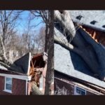 Powerful Windstorm Sends Massive Tree Crashing Into Occupied Home on Delaware Street in Redford Near Detroit