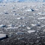 Scientists Warn Antarctica Has Lost Ice Equal to 10 Times the Size of Los Angeles in Just 30 Years