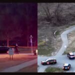 Severely Decomposed Body of Adult Male Found Partially Submerged in Creek at Hines Park in Livonia Michigan as Police Launch Investigation