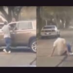 Suspect Injured After Attempting to Steal Car From Elderly Woman 80-Year-Old Woman Confronts Car Thief, Attempted Theft Ends in Injury