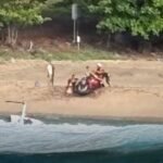 Tourist Helicopter Crashes on Remote Beach in Kauai, Hawaii Leaving Three Dead and Two Injured as Rescue Teams Respond