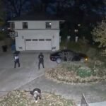 Chicago Man Damarri Conner Attacked Family at Gunpoint in Beverly Backyard and Stole Two Vehicles — Sentenced to 14.5 Years in Prison