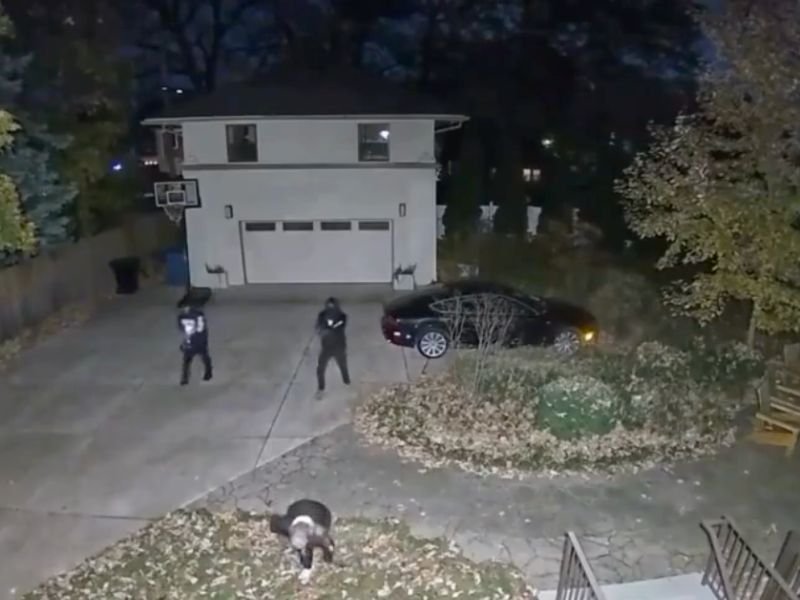 Chicago Man Damarri Conner Attacked Family at Gunpoint in Beverly Backyard and Stole Two Vehicles — Sentenced to 14.5 Years in Prison