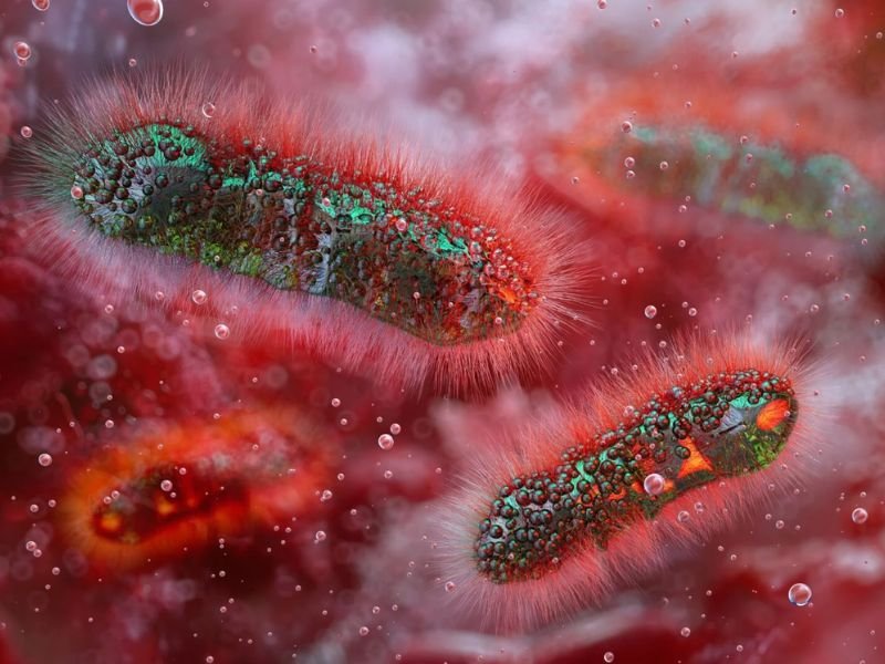 Drug-Resistant Shigella Infections Rising Across the United States — CDC Flags Growing Public Health Threat as Common Antibiotics Lose Effectiveness