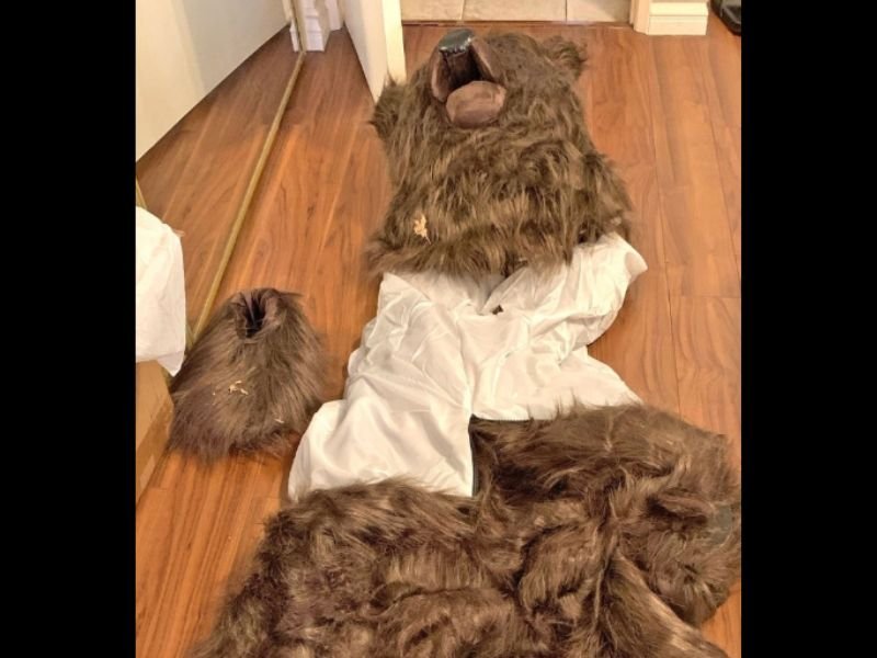 Fake Bear Attack Insurance Fraud Scheme Busted in SoCal — Three Sentenced After Staging Bear Costumes on High-End Cars in Operation Bear Claw
