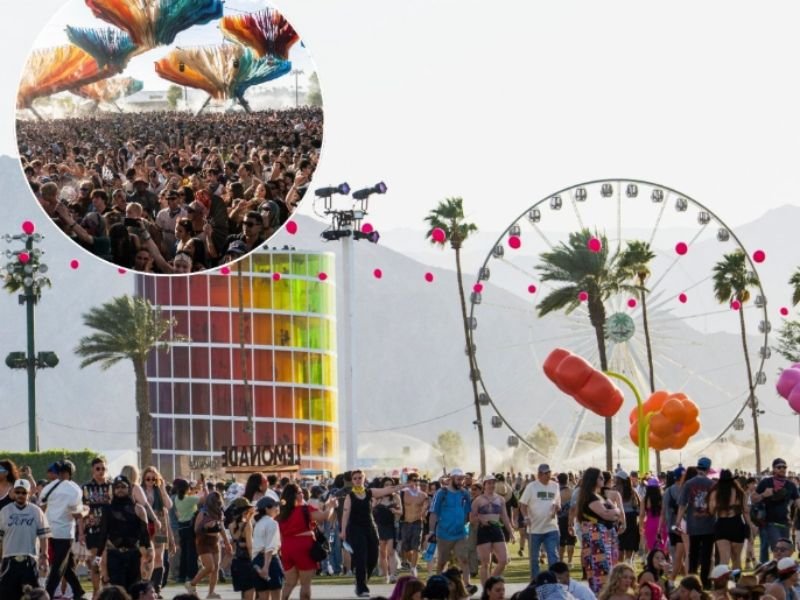 Guns Displayed in Retail Store Spark Safety Concerns &mdash; Viral Footage Shows Rows of Firearms as Debate Over Public Access Intensifies in United States