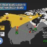 Indiana Is Closer to Polar Bears Than Grizzly Bears &mdash; Polar Bears Just 630 Miles Away While Grizzlies Sit 1,200 Miles Out