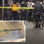 Knife-Wielding Man Stabs at Least Three People on Grand Central Station Subway Platform — Fatally Shot by Police on Saturday Morning