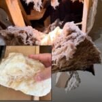 Large Ice Chunk From Aircraft Crashes Through Renter's Ceiling Near LAX &mdash; Man Narrowly Escapes Serious Injury or Death Across Los Angeles