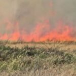 Moreno Valley Fire Sparks Fast — Wind-Driven Flames Push Firefighters Into Urgent Battle in Riverside County