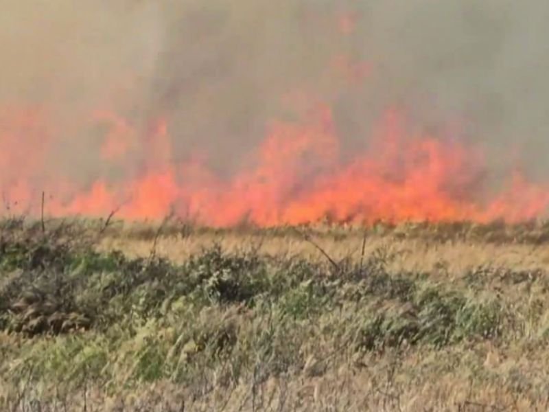 Moreno Valley Fire Sparks Fast — Wind-Driven Flames Push Firefighters Into Urgent Battle in Riverside County