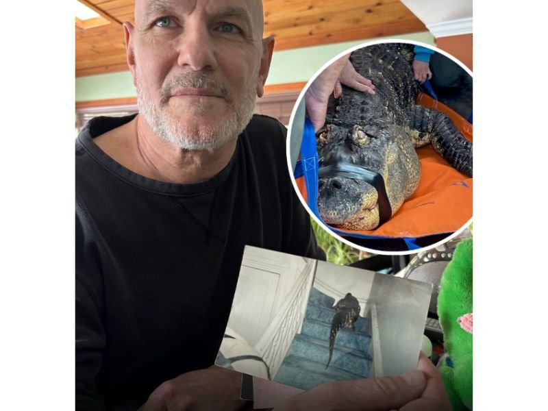 New York Man Ends Legal Fight to Reclaim 12 Foot Pet Alligator &mdash; State Seizure in 2024 Leads to Costly Court Battle and Final Decision