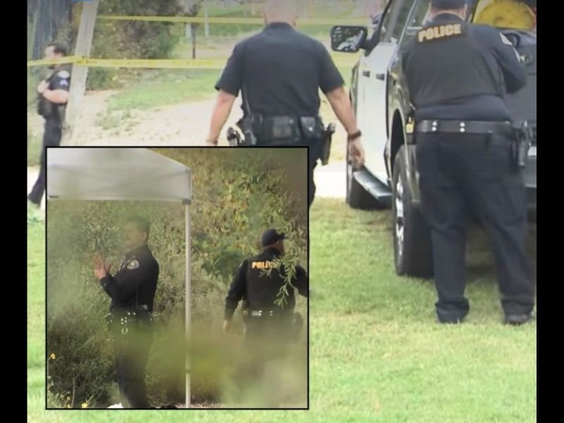 Possible Human Skull Found During Easter Egg Hunt in Los Angeles Park — Police Launch Investigation as Shocking Discovery Disrupts Holiday Event