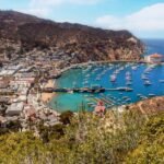 Two Killed After Small Plane Crashes on Catalina Island &mdash; Sudden Impact Near Coastal Area Triggers Emergency Response and Investigation
