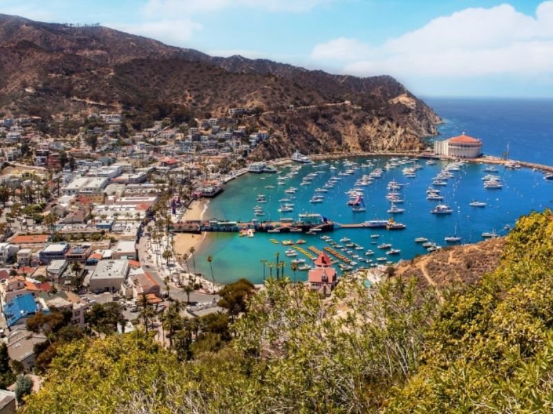 Two Killed After Small Plane Crashes on Catalina Island — Sudden Impact Near Coastal Area Triggers Emergency Response and Investigation