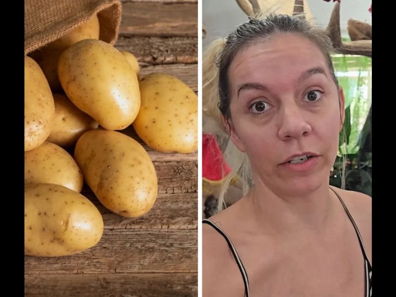 Woman Finds Live Roots Growing on Fried Potato Chip Inside Sealed Bag — Food Experts Say Sprouted Potato Likely Slipped Past Quality Control