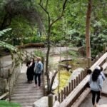 Iconic Tropical Rainforest Aviary Closing Down After Nearly 40 Years at Fresno Chaffee Zoo as Officials Say Space Outdated and Cannot Support Proper Care