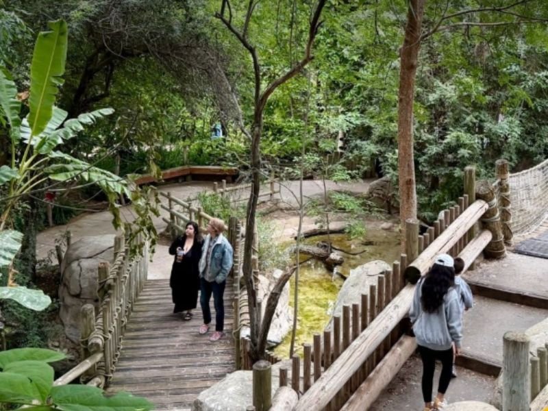 Iconic Tropical Rainforest Aviary Closing Down After Nearly 40 Years at Fresno Chaffee Zoo as Officials Say Space Outdated and Cannot Support Proper Care