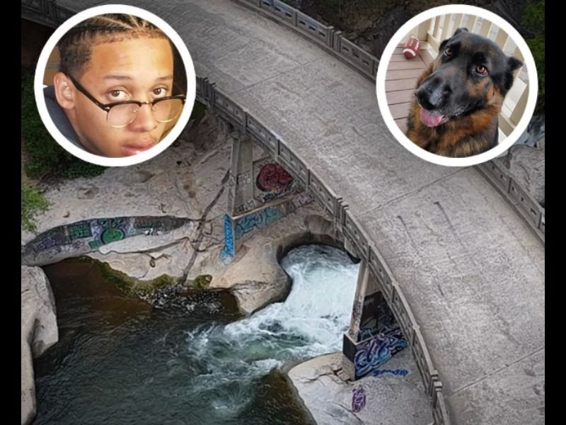 Man Drowns at Rock Creek Bridge in El Dorado County While Trying to Save His Sister's Service Dog During Day Trip