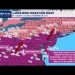 Millions of Birds Large Migration Event Sweeping Across Mid-Atlantic and Northeast Tonight May 12 Into Morning of May 13 With High Migration Zones Covering Multiple States
