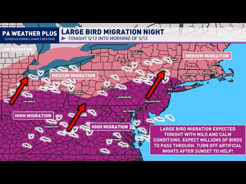 Millions of Birds Large Migration Event Sweeping Across Mid-Atlantic and Northeast Tonight May 12 Into Morning of May 13 With High Migration Zones Covering Multiple States